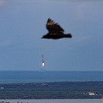 Falcon 9 / CRS-11 (Bill & Mary Ellen Jelen): Photobombed