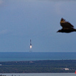 Falcon 9 / CRS-11 (Bill & Mary Ellen Jelen): Rocket Landing, Bird Flying
