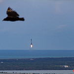 Falcon 9 / CRS-11 (Bill & Mary Ellen Jelen): Vulture and a Falcon
