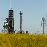 Falcon 9 / SES-11 (Jared Haworth): Falcon Nesting In the Grass.