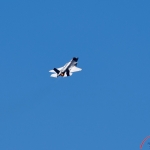 Wings Over Wayne 2019 Airshow: F-35 Demo
