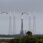 Falcon 9 / SpaceX Starlink-4 (Bill and Mary Ellen Jelen): Two Pelicans