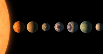 This artist's concept shows what the TRAPPIST-1 planetary system may look like, based on available data about the planets' diameters, masses and distances from the host star.
